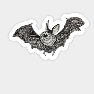 Bat Sticker